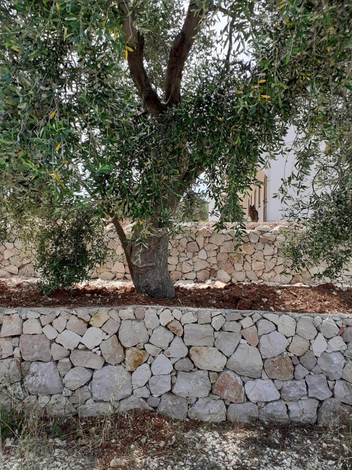Borgo Rosoli Вьесте Экстерьер фото